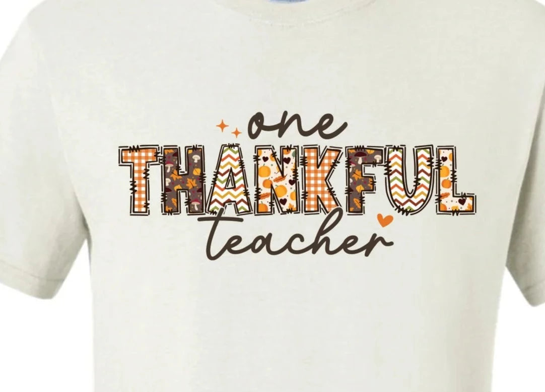 One Thankful Teacher T-shirt