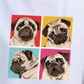 Pugs DTF