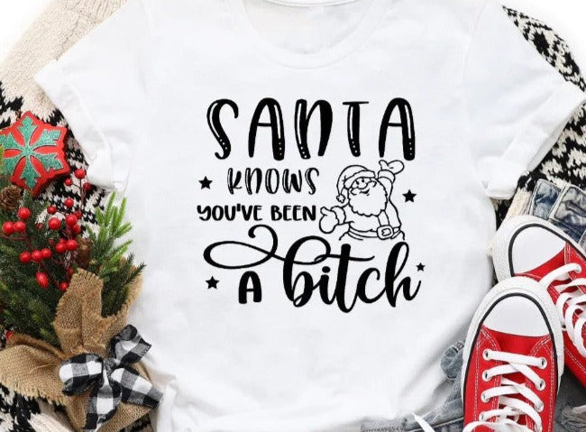 Santa Knows You've Been A Bitch T-Shirt